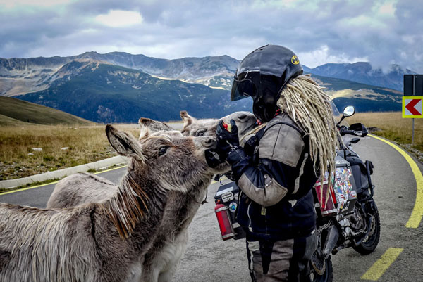 Photo by Paul Stewart (USA) of Egle making new friends along the Transalpina in Romania. RTW 2016, Super Ténéré.