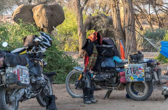 Elephant camp visitors.