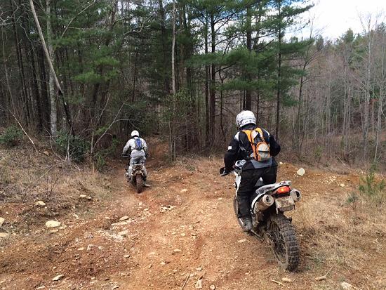 Riders into woods. Photo by Nick Zacker.