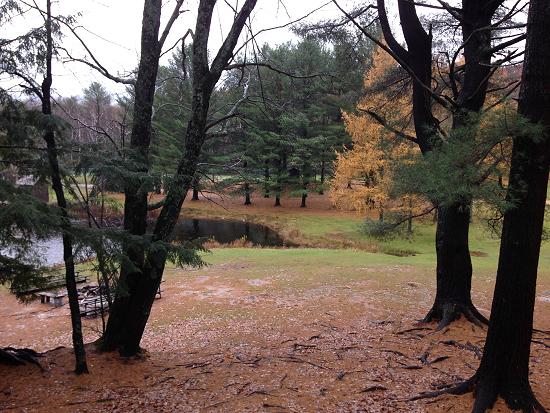 Camp Tamarack - plenty of nice treed camping spots.