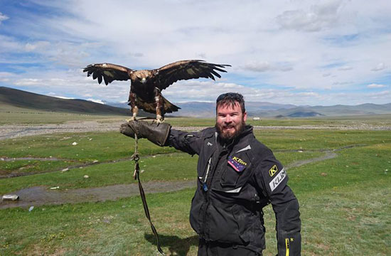 David and a falcon