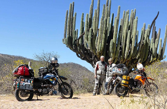 Alan Curtis and Lyn Williams, Cactus in Mexico.