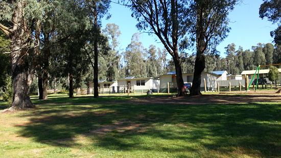 Camp Marysville - cabins from the camping area.