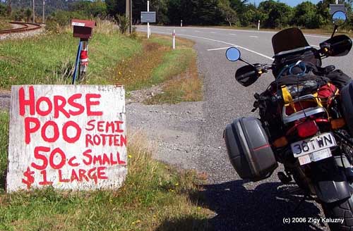 Horse Poo, New Zealand, by Zigy Kaluzny