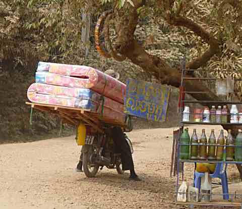 Extra wide load on moped