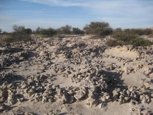 Stony landscape, Chile.