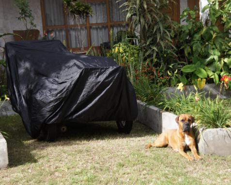 Guarding the bike.