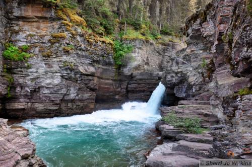 Water falls with lurking bear?