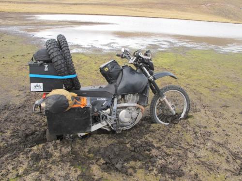 Stuck in the mud in an alpine lake, Peru.