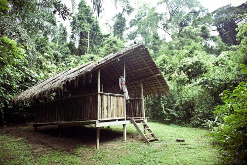 Bamboo shed at Afi Drill Ranch, Nigeria.