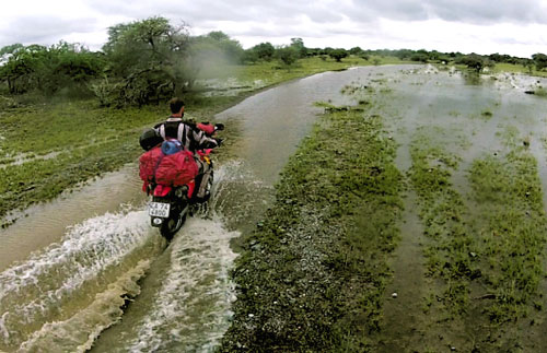 Water crossing on Kubu Island, Botswana.