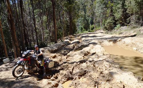 Heike and Filippo in Tasmania.