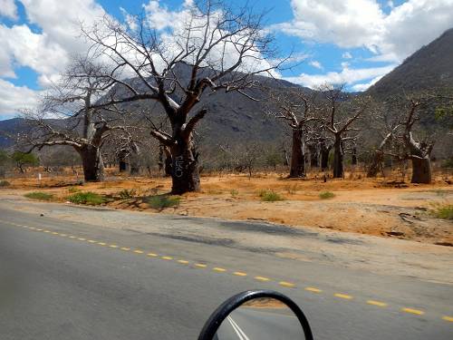 Jo Rust in Baobab Valley in Tanzania.