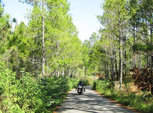 The road started out pleasantly before revealing itself as a psychopath!