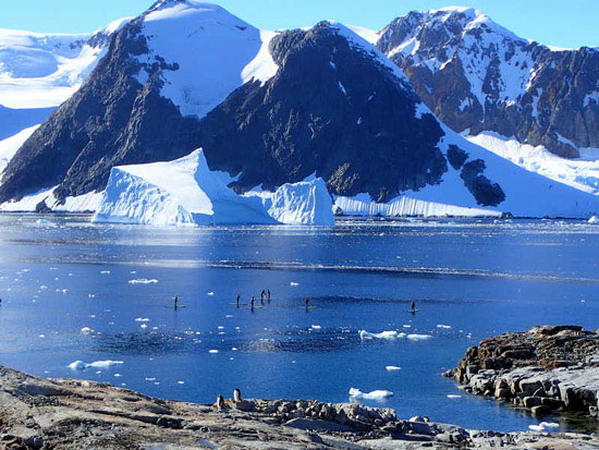 Paddleboarding in Antarctica.