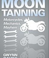 Cover of the book Moon Tanning